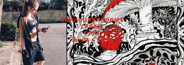MESCALINE Богданович