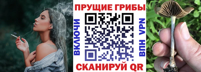 mega онион  Красноармейск  Псилоцибиновые грибы прущие грибы  купить наркотик 